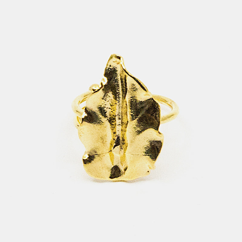 Kappa Ring Guld Guld
